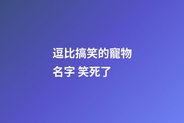 逗比搞笑的寵物名字 笑死了